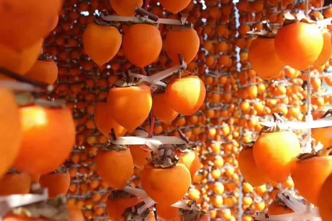 90%靠从中国进口的“软黄金”，韩国人都抢着吃，朱元璋给它封侯