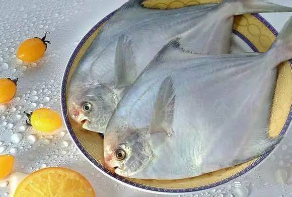 海鲜大全,最全海鲜冷知识