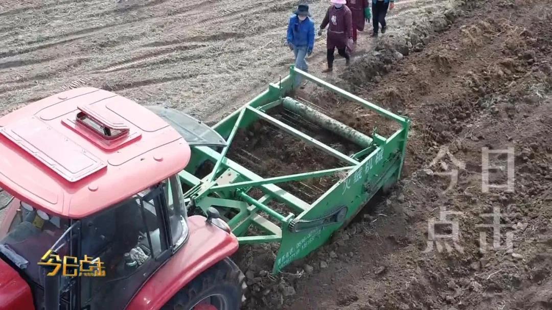 铜川印台脱贫攻坚,铜川印台区脱贫户