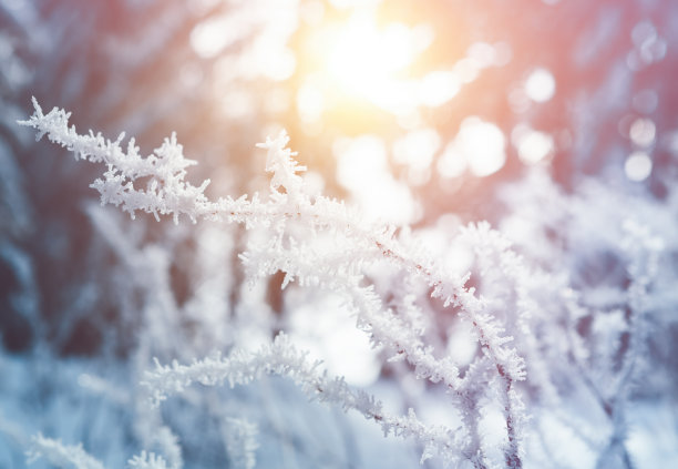 选蓝海产品的思路图,怎么挖掘抖音蓝海领域