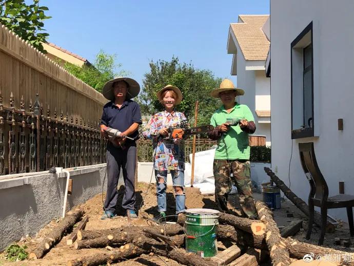 黄雅莉真实生活,黄雅莉的生活值不值得羡慕
