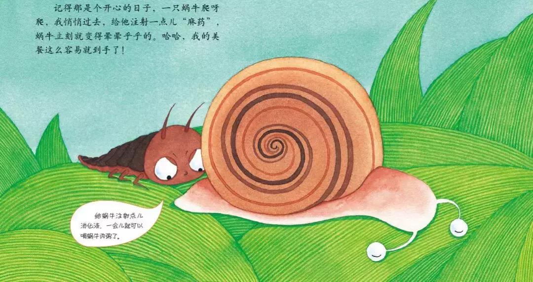 你原来是这样的萤火虫，估计老师们也很少知道！