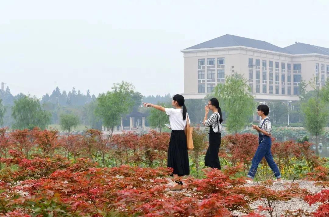 绍兴元培中学分校怎么样,绍兴市元培中学2024届