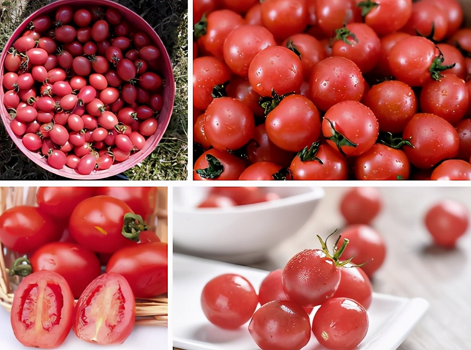 有胆结石饮食上要注意什么,胆结石的常见饮食预防方法