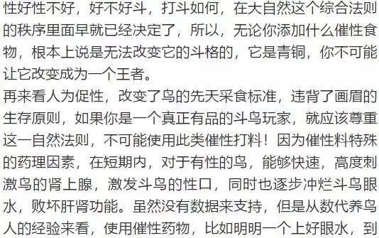 画眉饲料中的小米怎么样处理,画眉除了饲料可以喂什么料