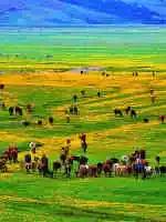 中国各地特产一览表,四川成都特产送人一览表