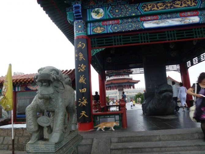 蓬莱仙境游戏手机版,蓬莱仙境游记全集