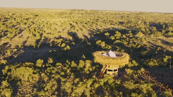 NAYPALAD鸟巢酒店——极致“野奢”体验
