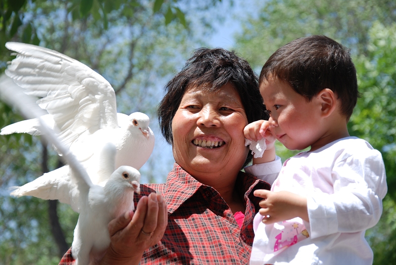 隔代教育观念冲突,隔代教育怎样纠正长辈的矛盾