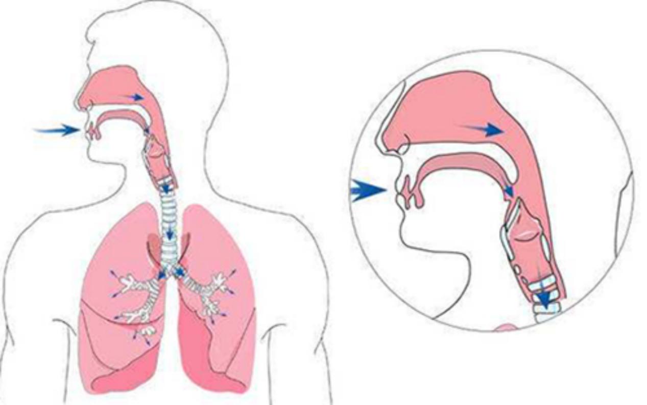 百病皆由痰作祟出处,百病皆由痰作祟痰是怎么来的
