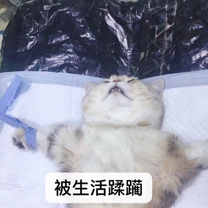 新年礼物实用细节,过年礼物还没准备的看过来