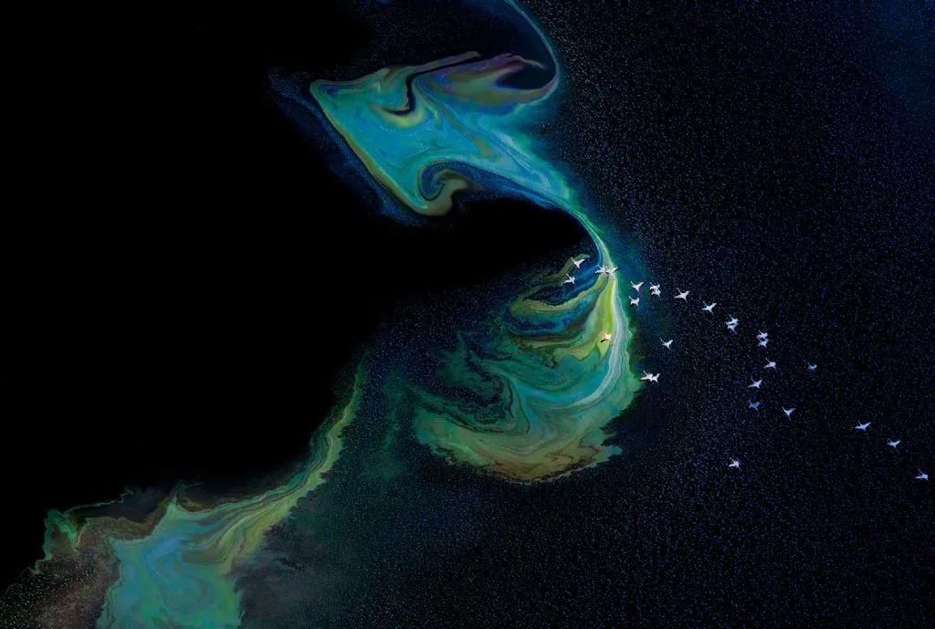 香港第14届全国摄影艺术展,第29届全国摄影艺术展览获奖名单