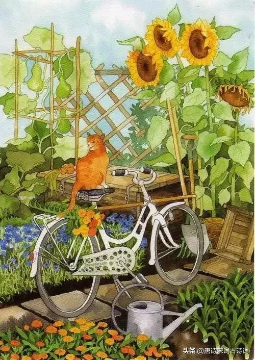 这个城市总有你落脚之处,城市总有一处柔软的角落