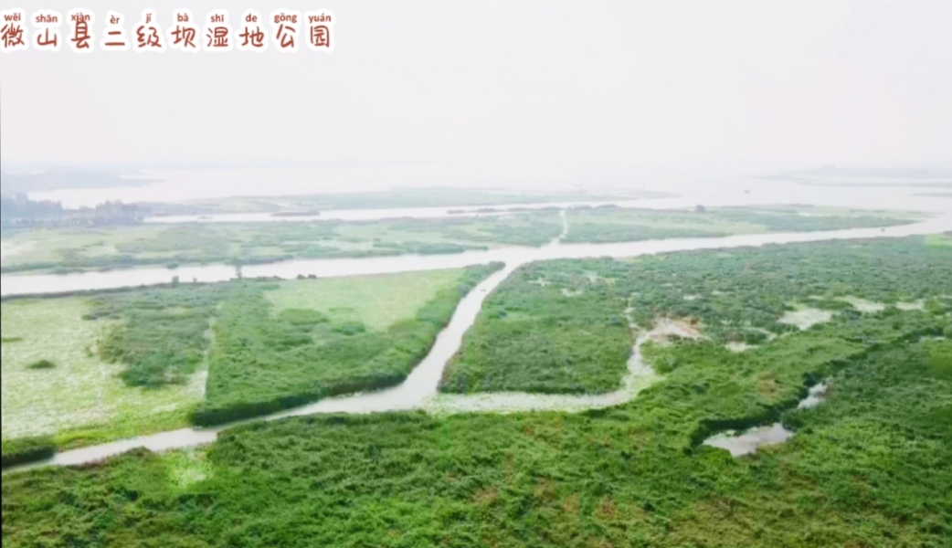 微山湖荷花池美景,微山湖红荷湿地公园旅游攻略最新