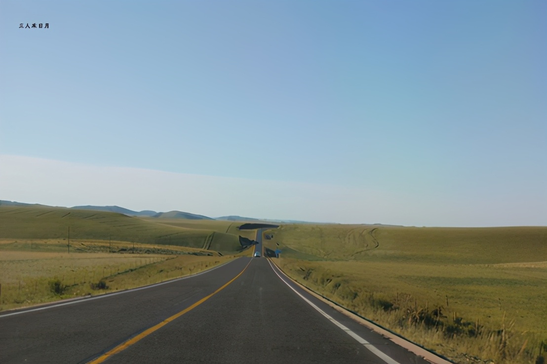 森林公园白鸟湖,乘风湖百鸟乐园