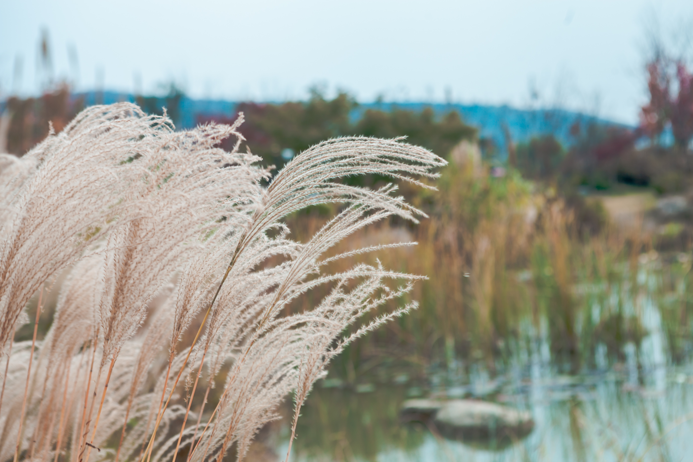 秋天的无锡美的醉人，去无锡旅行，这些好地方不要错过了