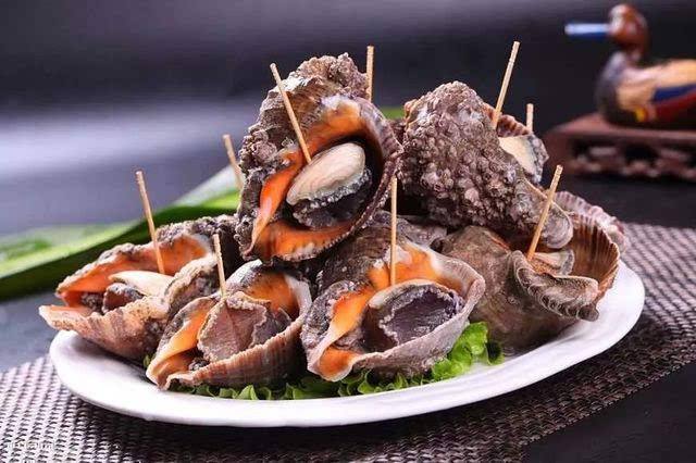 怎么选海螺最好吃,海螺性价比