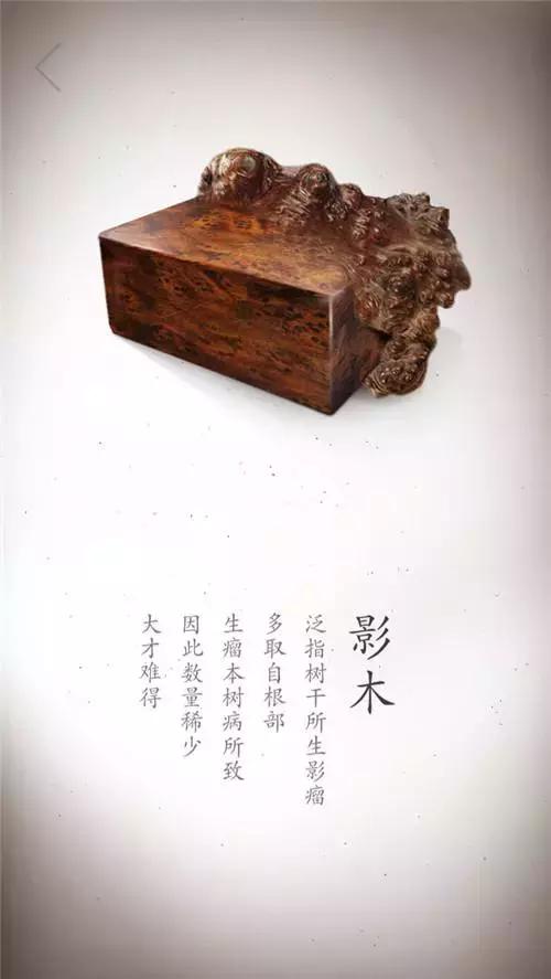 盘点木头！珍贵木材高清写真集