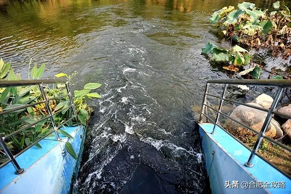 “合肥蓝”频频刷屏朋友圈！背后竟隐藏一个国家级团队...