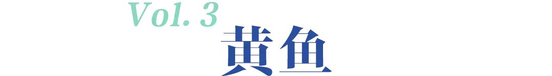 开捕啦3：黄鱼金灿灿，大黄鱼小黄鱼你爱哪一款？