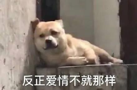 电脑最真实的模拟游戏,十大耐玩模拟电脑游戏