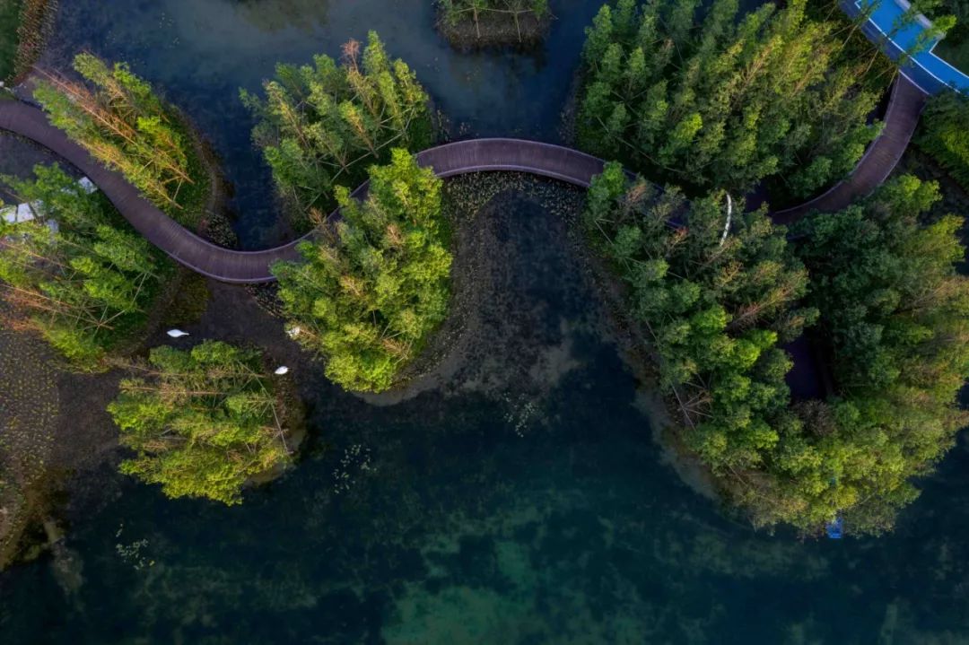 成都最具品质的楼盘,成都主城区高品质楼盘