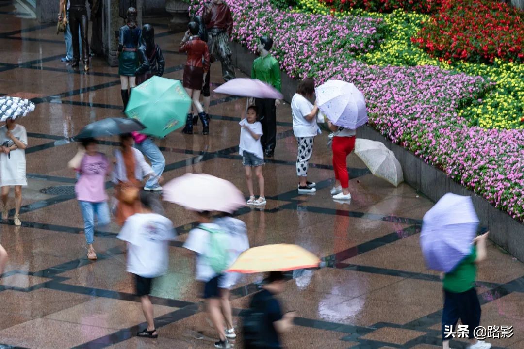 花重锦官城,花重锦官城长安