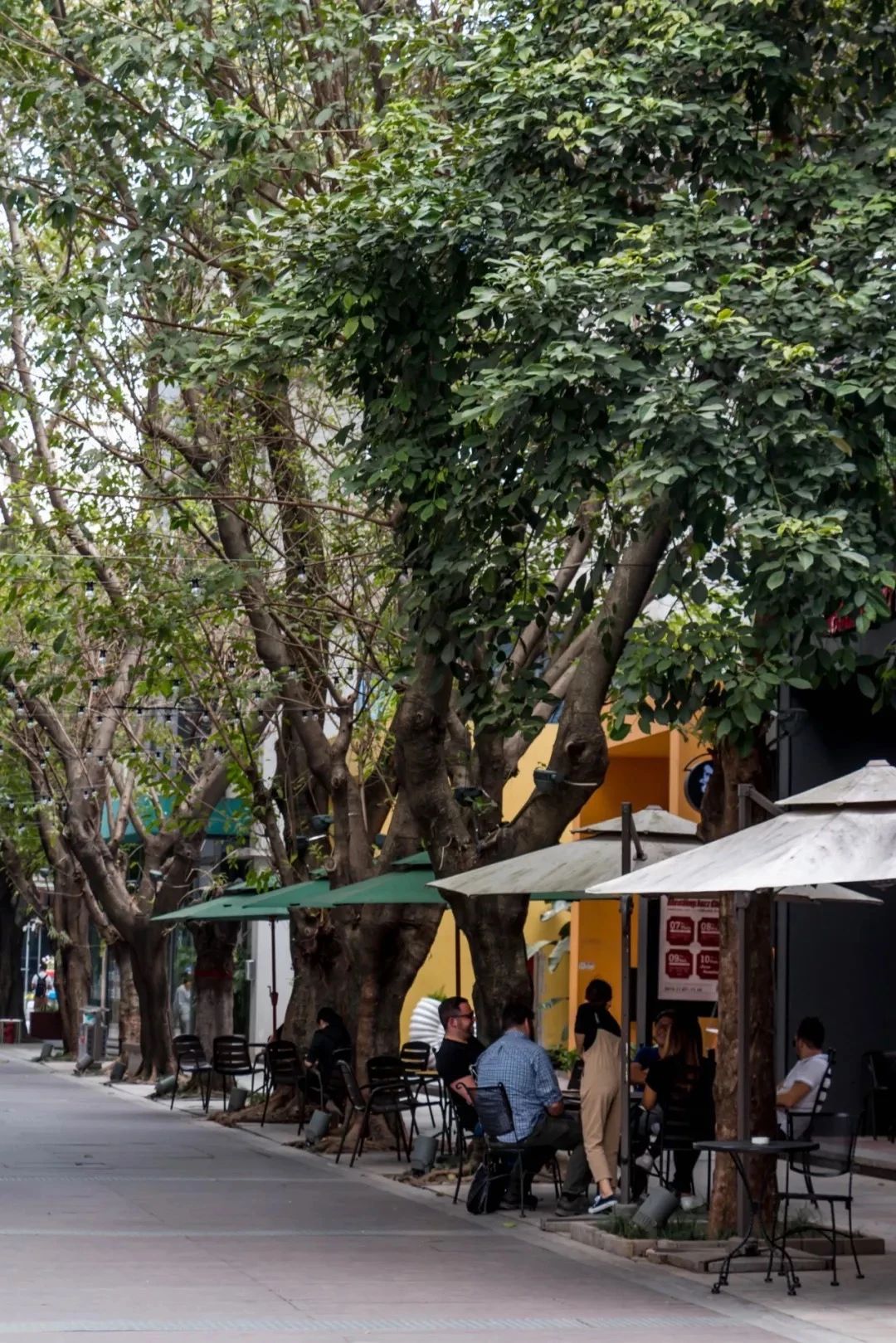 深圳旅游好去处推荐,深圳宝安区周末休闲浪漫好去处