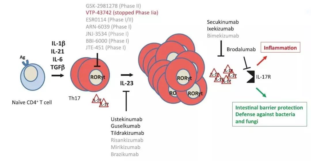 全球十大最神奇的疗法,创新细胞疗法