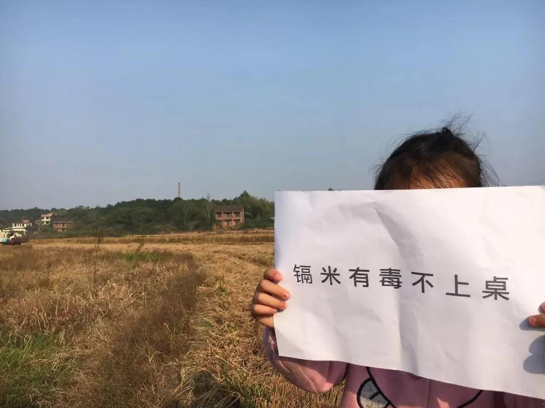 镉大米为何连年屡禁不止,镉大米会二次污染吗