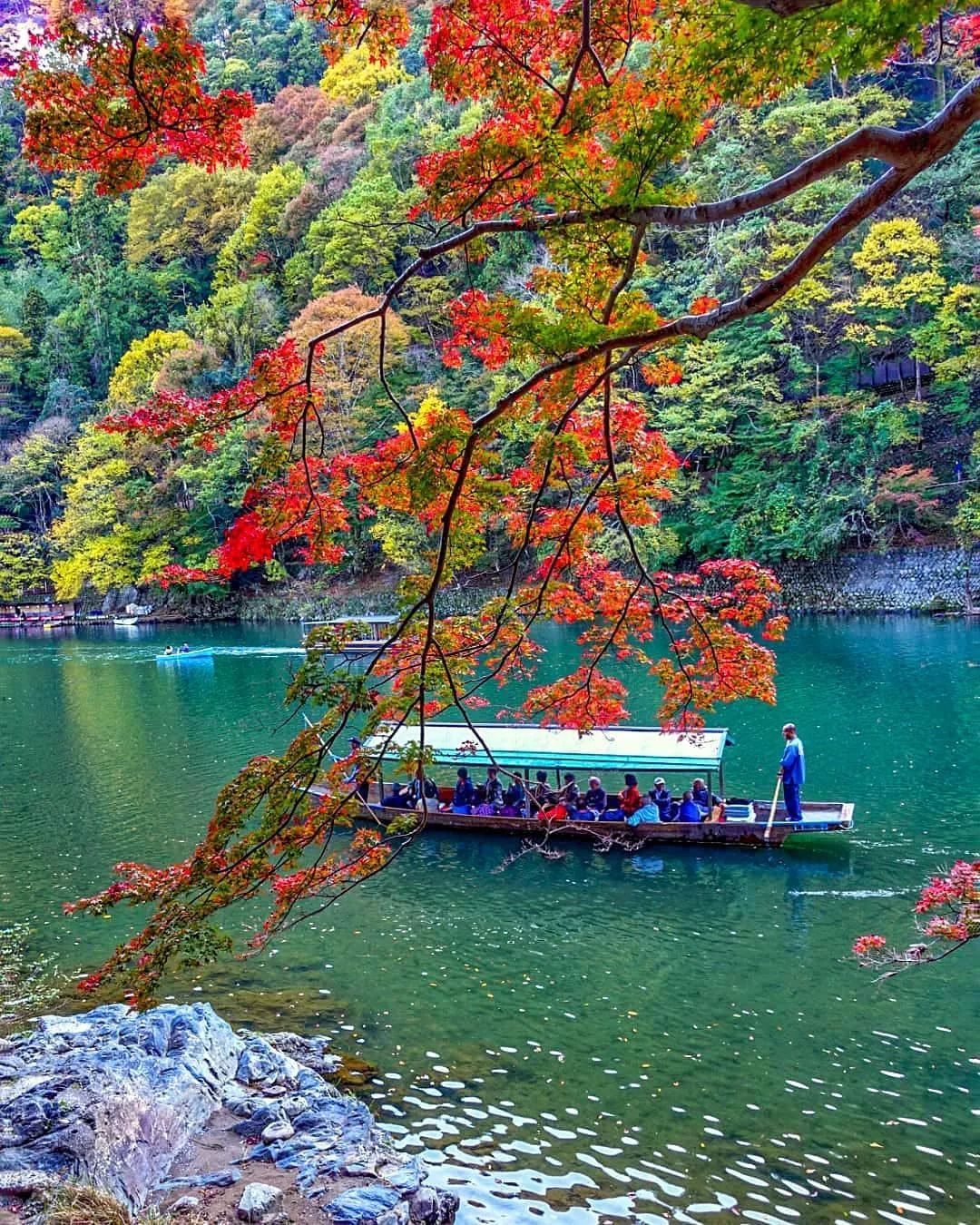 停车坐爱枫林晚，感受火红的秋