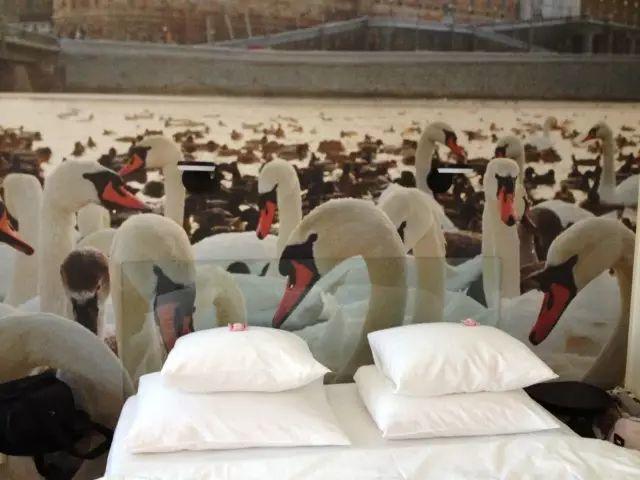 深夜除了晒烤串，还能晒太阳