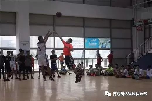 鬼手训练营、精英特训营、夏令营｜育成凯达暑期巨献，限额招生