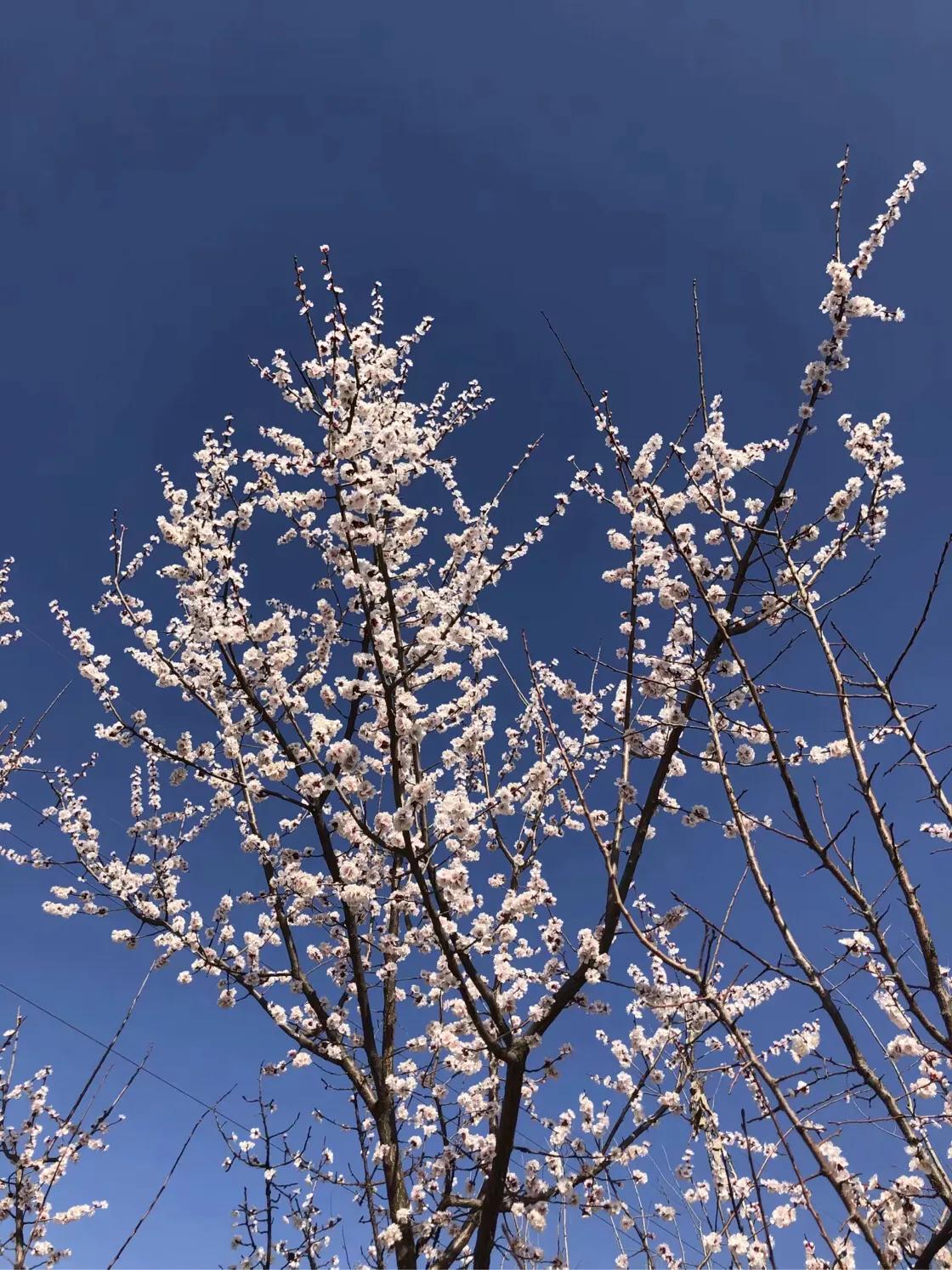 （原创）遵化醉美健身休闲地——沙河