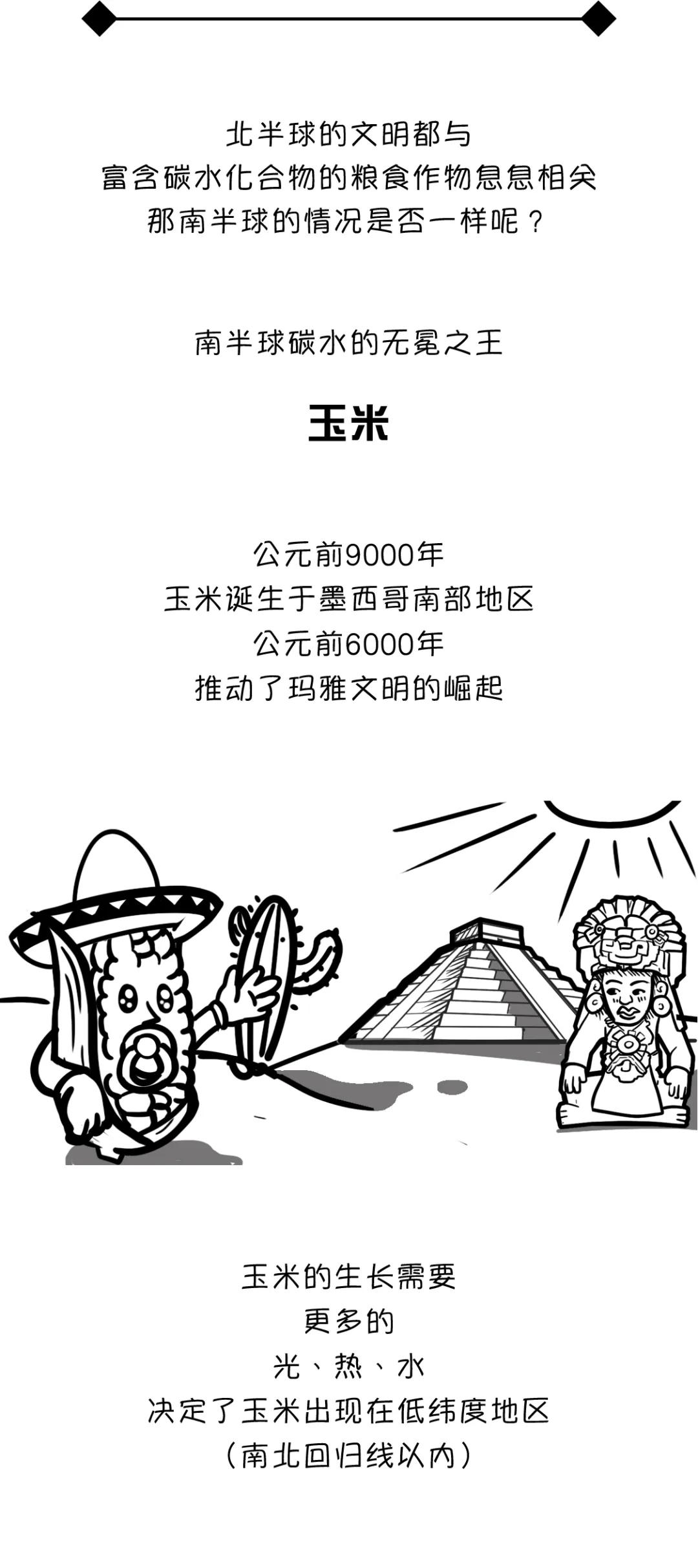 漫画食物简史有阅读价值吗,漫画食物简史漫画书