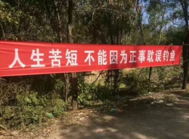 冬季蓝鲫x5钓鱼的最佳配方,夏季野河钓鱼技巧与饵料视频