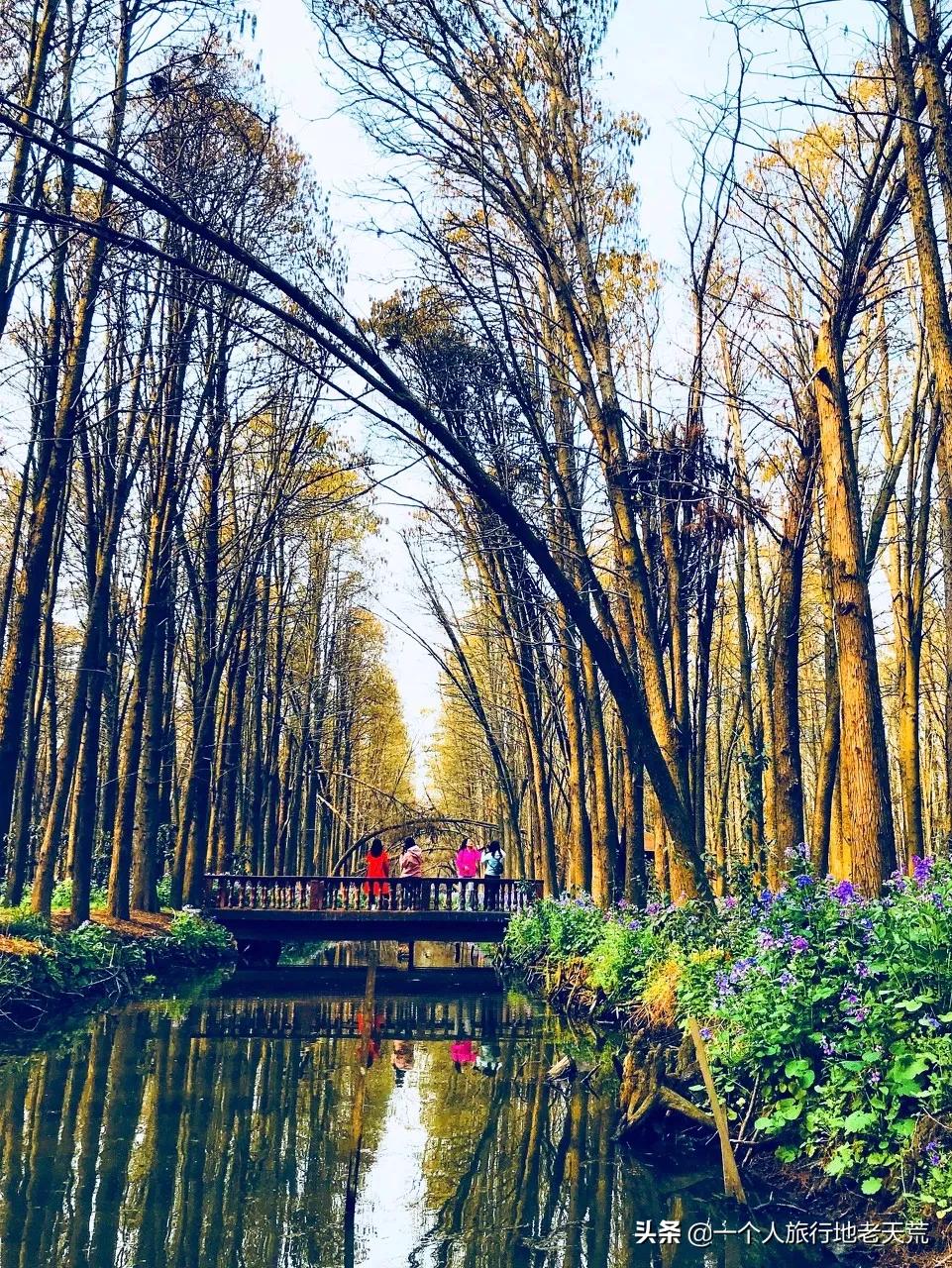 原来它才是江苏最安逸城市，累了就去小住几天