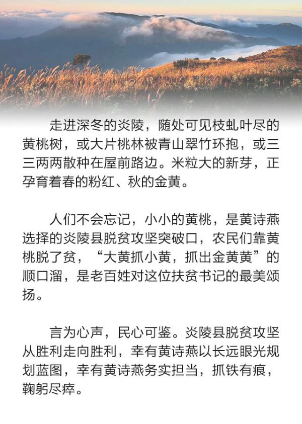 待到山花烂漫时革命英烈,待到山花烂漫时乡村振兴