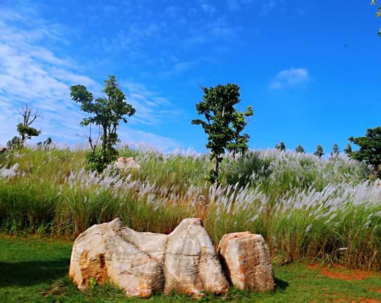 弥勒太平湖森林木屋酒店团购直播,弥勒太平湖森林木屋酒店有温泉
