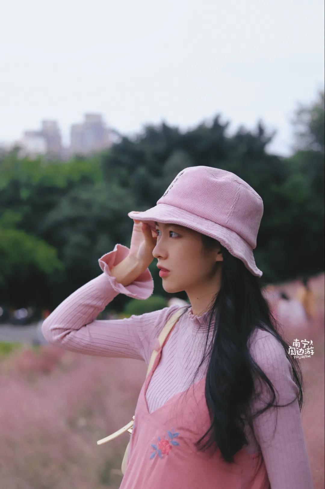 南宁花海公园在哪里,南宁嘉和城附近花海