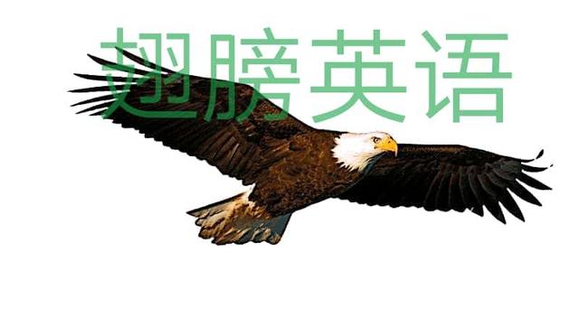 神奇的数字发音,《神奇的数字》好词