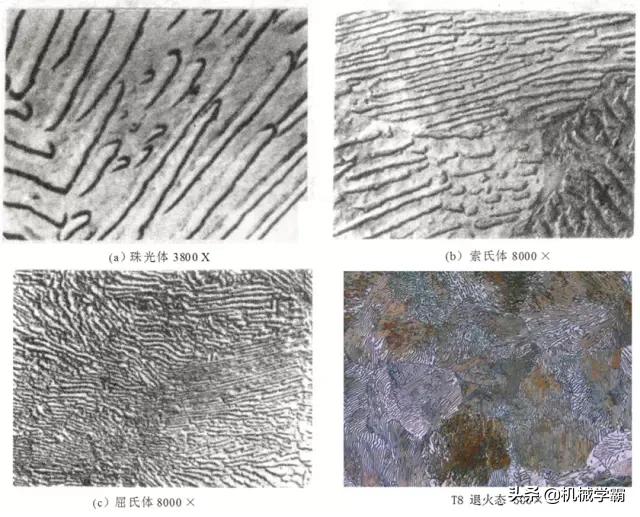 马氏体、奥氏体、珠光体，20种材料彩色金相，带你轻松识别