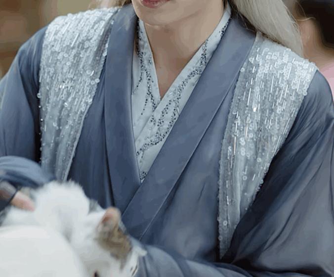 盘点猫咪高能名场面 (猫咪10大最萌镜头)