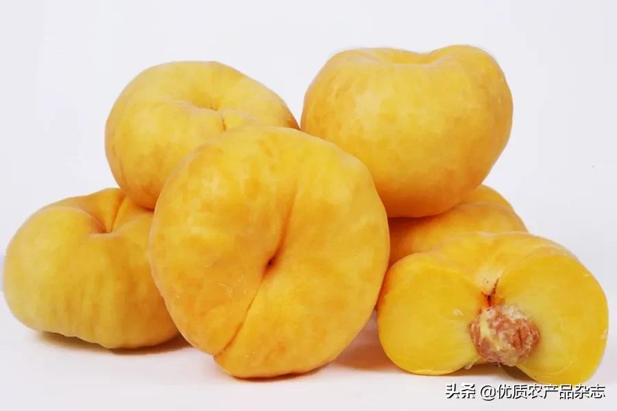 什么种类的黄桃最好吃又甜,鲜食黄桃品种哪个最好吃