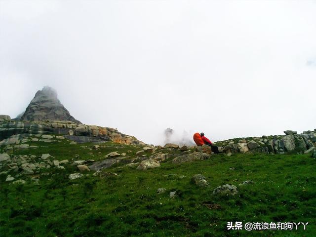 年保玉则现在开放了吗,年保玉则为啥被封