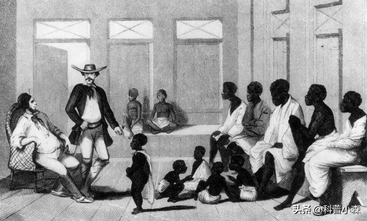 为啥巴西占了南美洲那么大的领土,巴西哪里的移民多