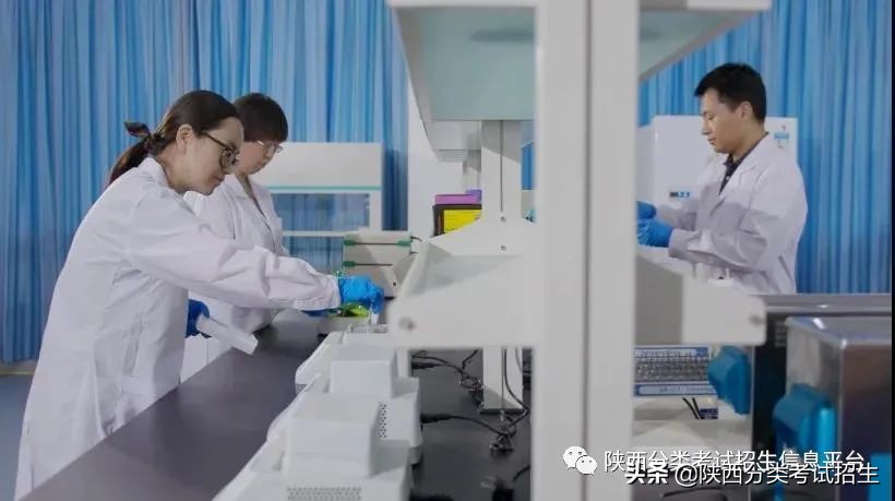 两汉三国，真美汉中|汉中职业技术学院