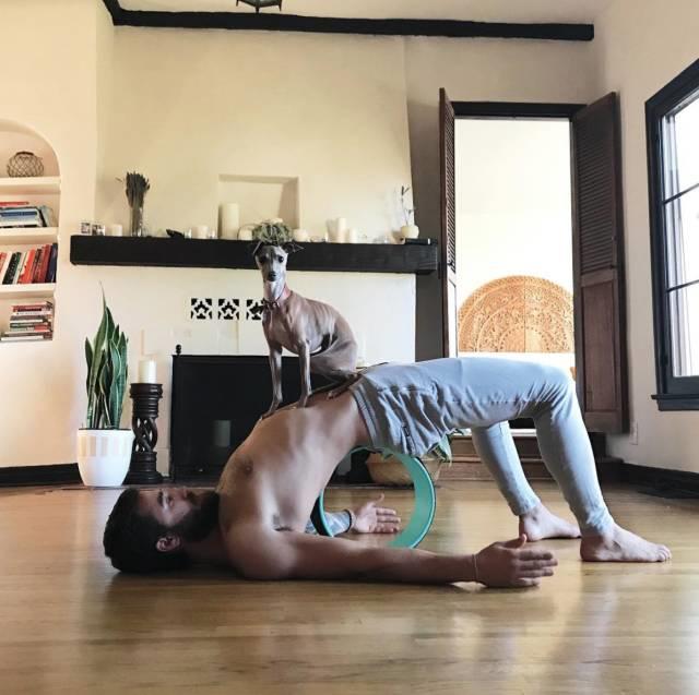 盘点男人练瑜伽,男人瑜伽刚柔并济