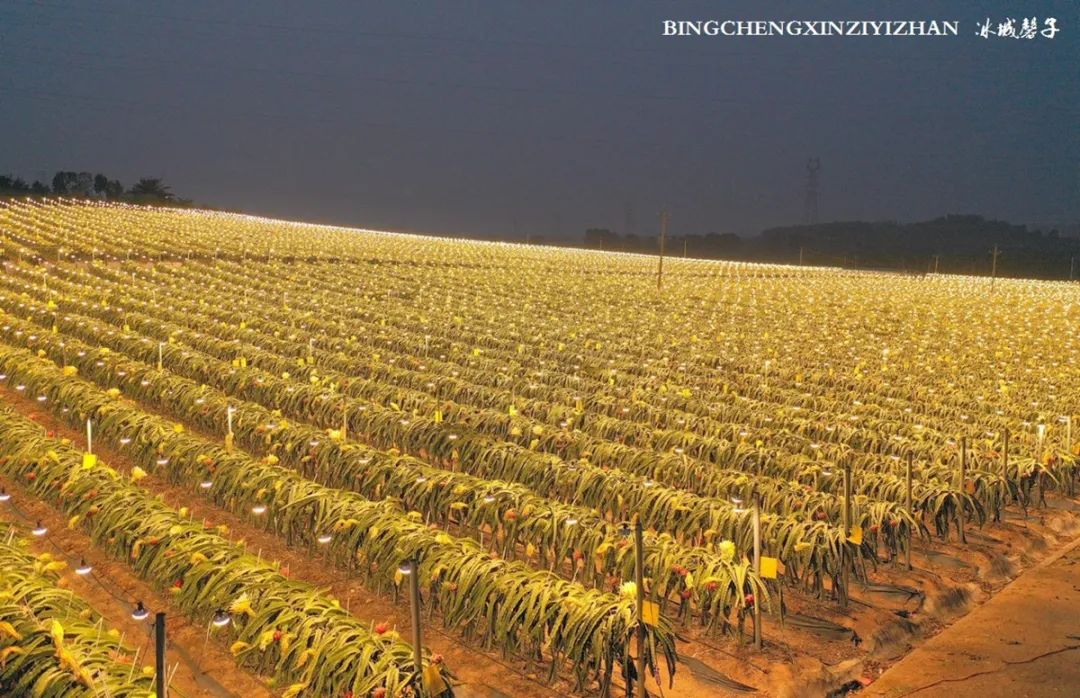 乐东九所海边康养基地,海南乐东九所景和家园