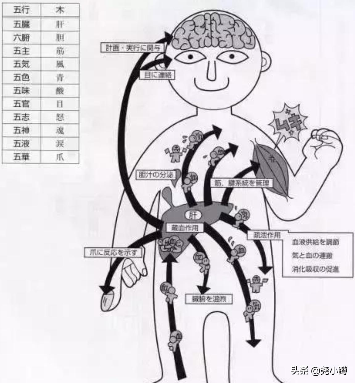 日本的中药是什么样子,日本中药也叫中药吗